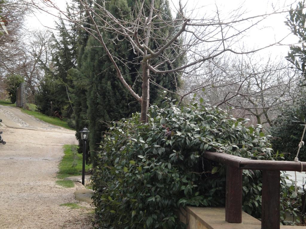 מלון Acuto Agriturismo Le Valli מראה חיצוני תמונה